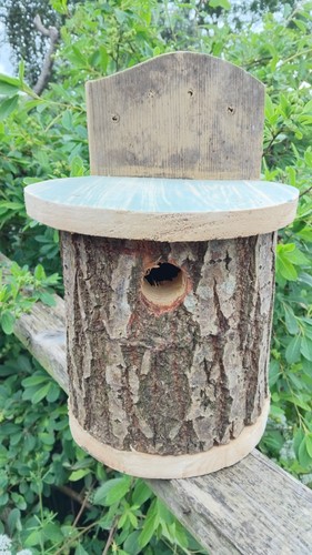 Nest box carved - -, log