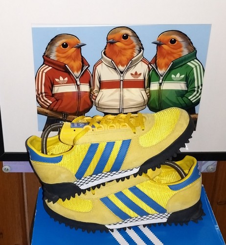 Adidas marathon size - tr,