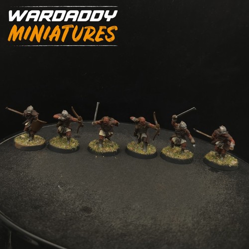 Pro painted warhammer - painted, lotr