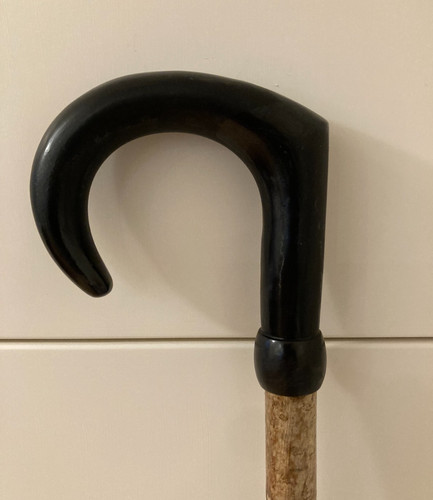 Lovely buffalo horn - buffalo, cumbria