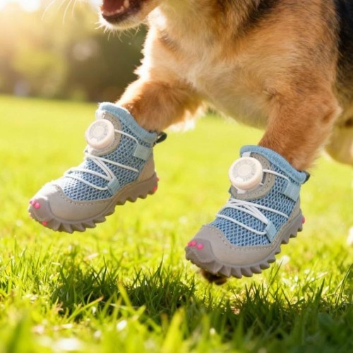 Waterproof comfy paw shoes - paw,