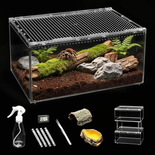 Large reptile tank starter - large,
