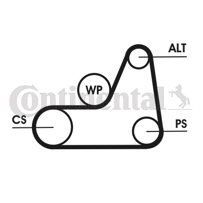 Continental ctam 6pk1042 elast - continental,