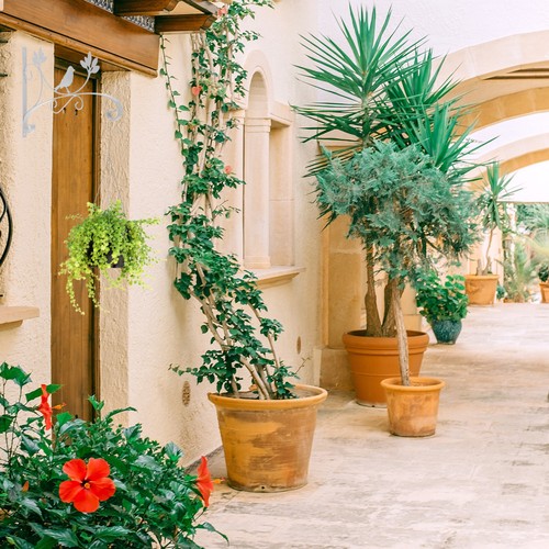 Hanging flower stand - flower, wrought