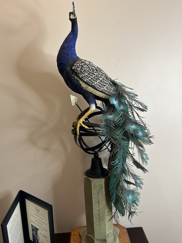Border fine arts regal - border,