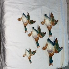 Beswsick 5 Flying Mallard