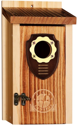 Premium wooden bird - premium,