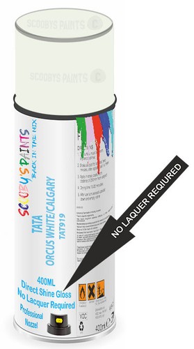 Aerosol spray paint for tata - aerosol,
