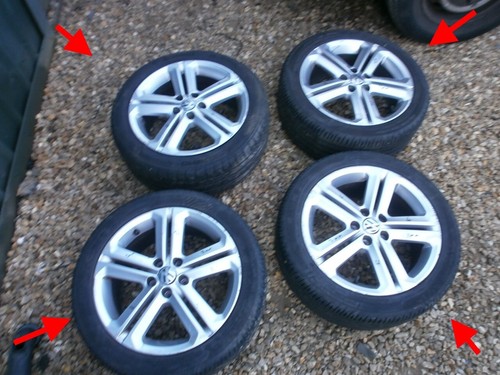 Polo line silver 16 - r, 16"