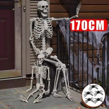 180cm Halloween Poseable Skeleton Full Life Size Human Skeleton Decoration Prop+