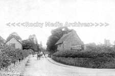 Pzz-51 Animated View, Pony & Trap, Dinder Village, Somerset 1905. Photo