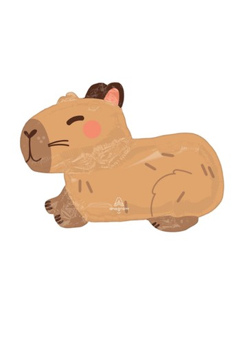 Comes inflated cute - cute, capybara
