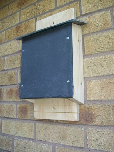 Wooden bat box roost house - ,