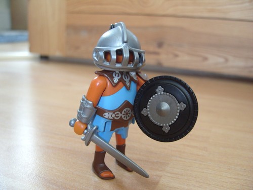 Playmobil 100 complete - 100%,