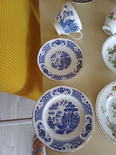Duches blue and - 1, white