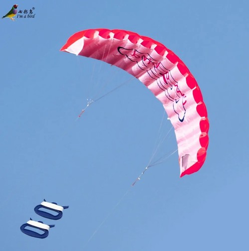 Dual line parafoil kite - dual,