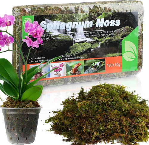Natural sphagnum moss for - sphagnum,
