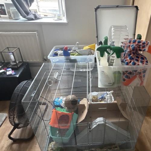 Savic rats cage - rats,