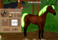 Wild Horse Islands - Bay, Prismatic, ARABIAN Horse - IUH