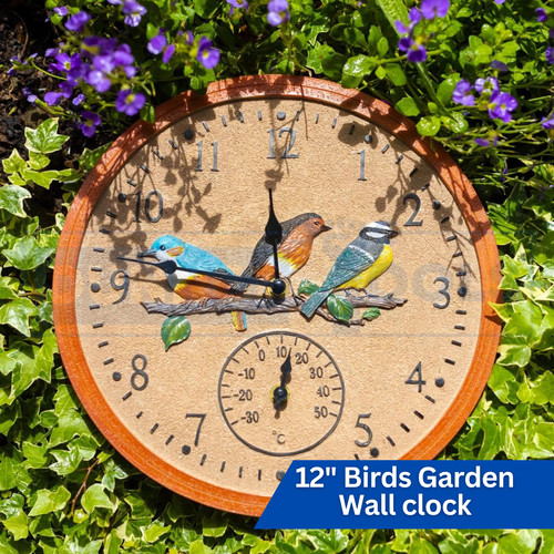 Garden wall clock bird outdoor - clock,
