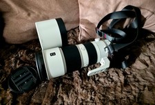 Sony FE 200-600mm f5.6-6.3 G