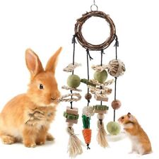 Rabbit Treats Rabbits Cage