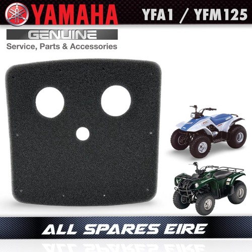 Yamaha cvt intake foam - intake,