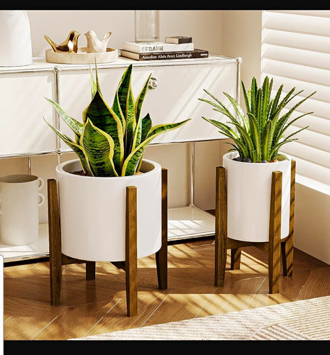 Adjustable wooden plant stand - plant,