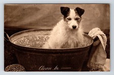 Animals: Dog In Tin Bath. Posted 1915.