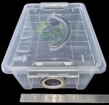 Invertebrate, Reptile, Stick