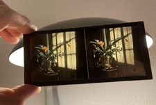 Rare & Antique Autochrome