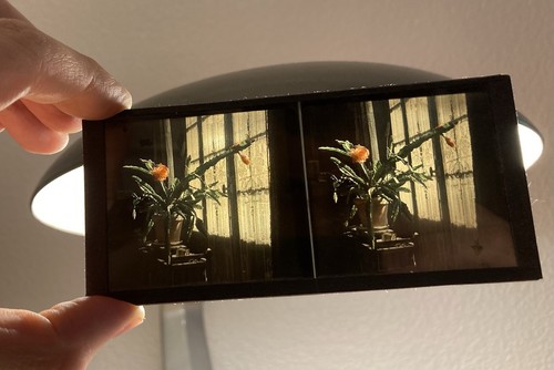 Rare antique autochrome - rare,
