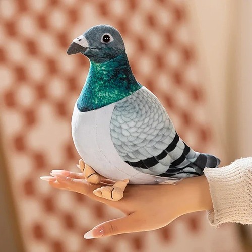 Pigeon bird soft plush toy - soft,