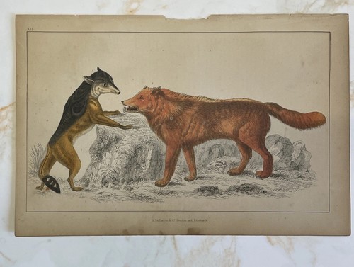 Antique book engraving hand - engraving,