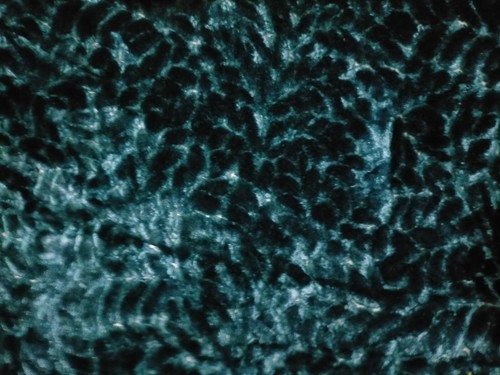 Designers guild fabric - designers,