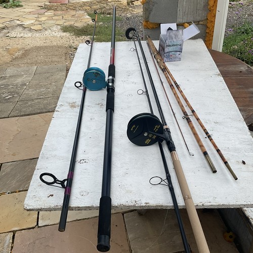 Daiwa 12ft carbon sea harrier - 12ft,