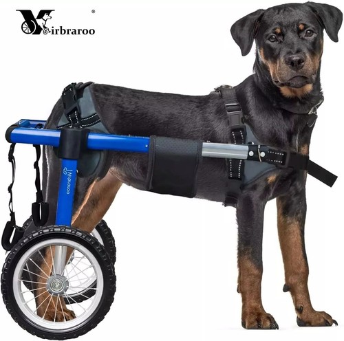 Used adjustable large dog - adjustable,