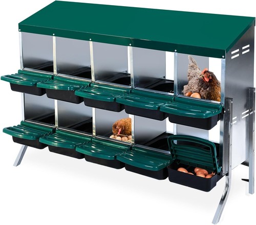 10 compartment chicken - 4/6/8/10-compartment,