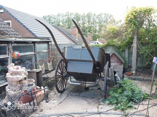 Pony trap - cart, )