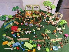 Large Playmobil Custom