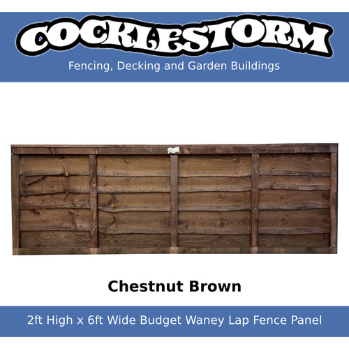2ft high 6ft - high, chestnut