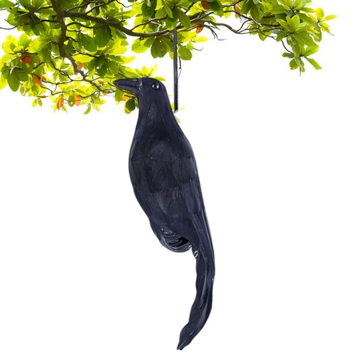 Artificial dead crow decoy - artificial,