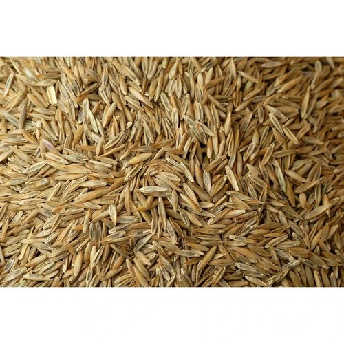 Premium lawn seed - with,