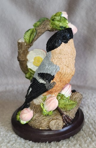 The country bird - bird, collection