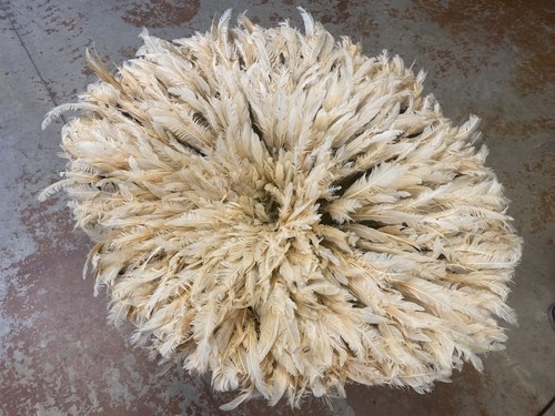 Cream traditional feather - cream,