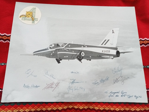 Folland gnat xs109 raf - gnat,