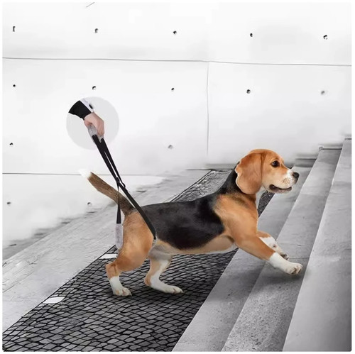Dog rear lift harness - harness,
