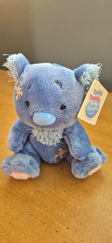 Tatty teddy blue nose - teddy,