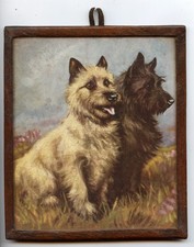 CAIRN TERRIER Dog Antique Art