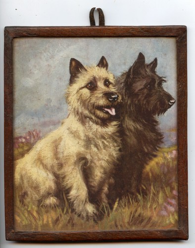 Cairn terrier dog antique art - dog,